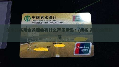 羊小咩备用金逾期会有什么严重后果呢