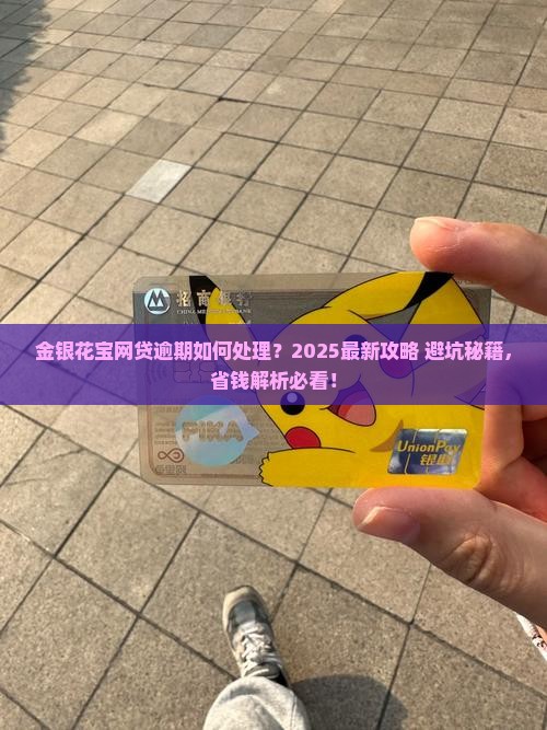 金银花宝网贷逾期处理方法