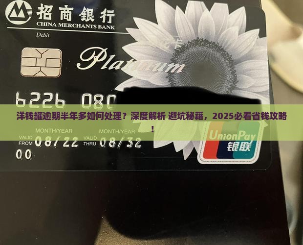 洋钱罐逾期半年多了如何处理