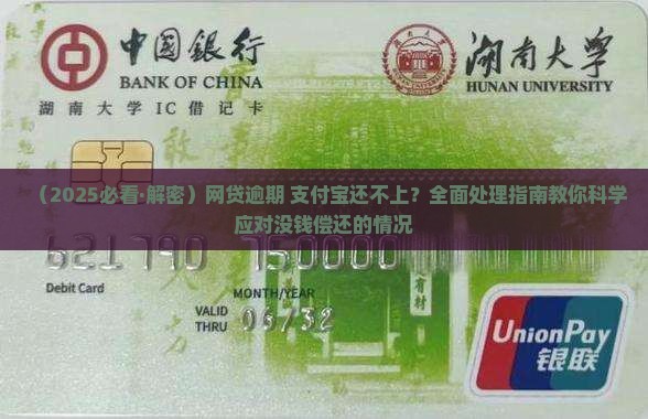 网贷逾期支付宝逾期还不上应该怎么办