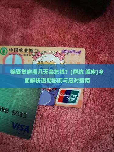 锦囊贷逾期几天会怎样