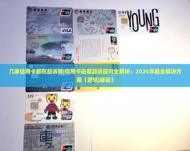 几家信用卡都在起诉我