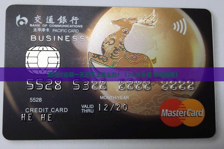 云闪付逾期一天还不上怎么