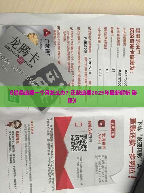 借条逾期一个月怎么办