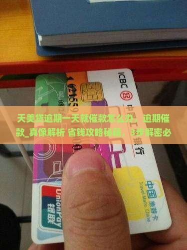天美贷逾期一天就催款怎么办