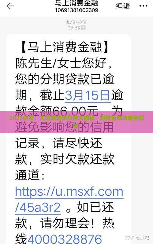 大城翼龙贷正规吗