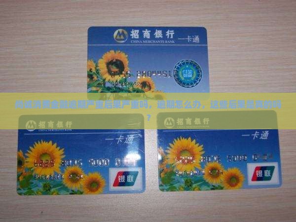 尚诚消费金融逾期严重后果严重吗