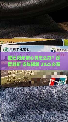 阳光安心贷晚还怎么处理