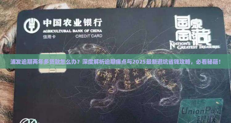 浦发逾期两年多贷款怎么办