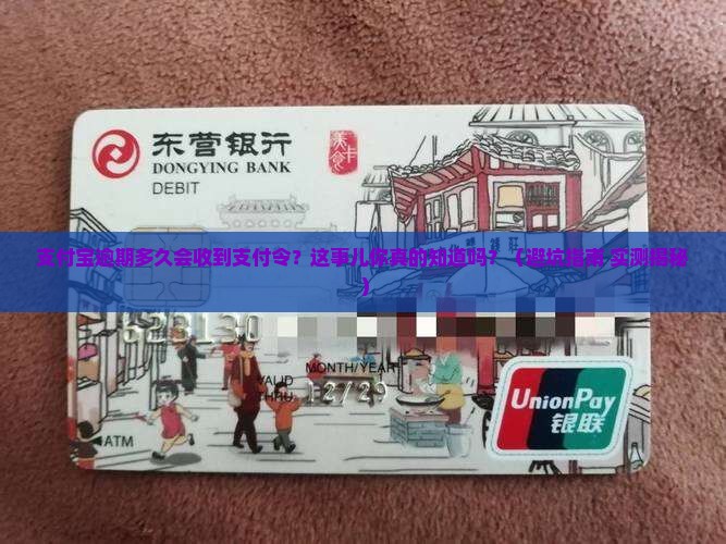 支付宝逾期多久会收到支付令