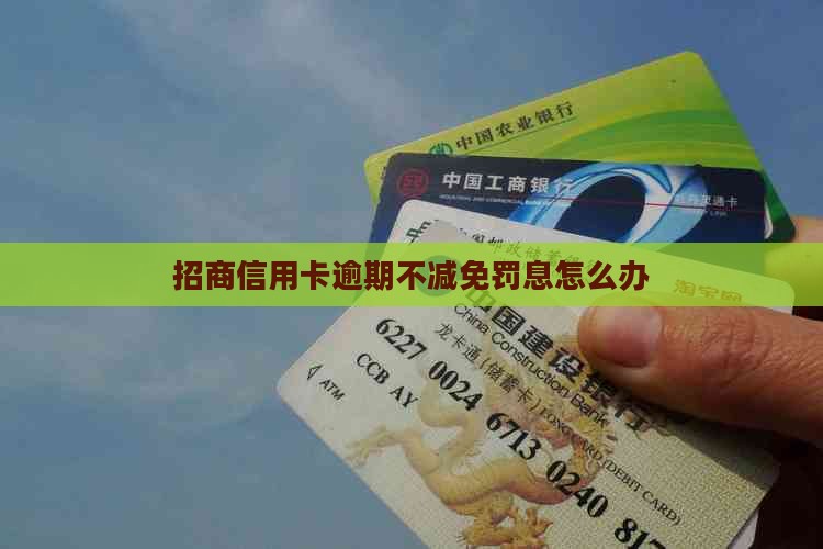 招商信用卡逾期不减免罚息怎么办