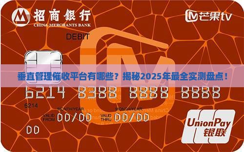 垂直管理催收平台有哪些