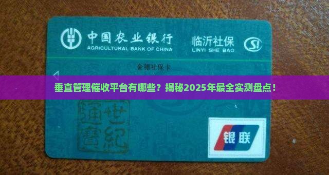 垂直管理催收平台有哪些