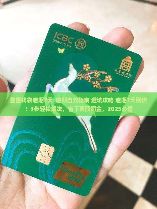 星星钱袋逾期7天