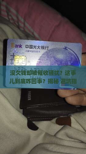 没欠钱却被催收骚扰怎么办