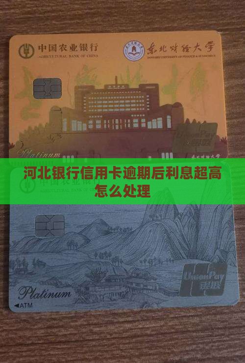河北银行信用卡逾期后利息超高