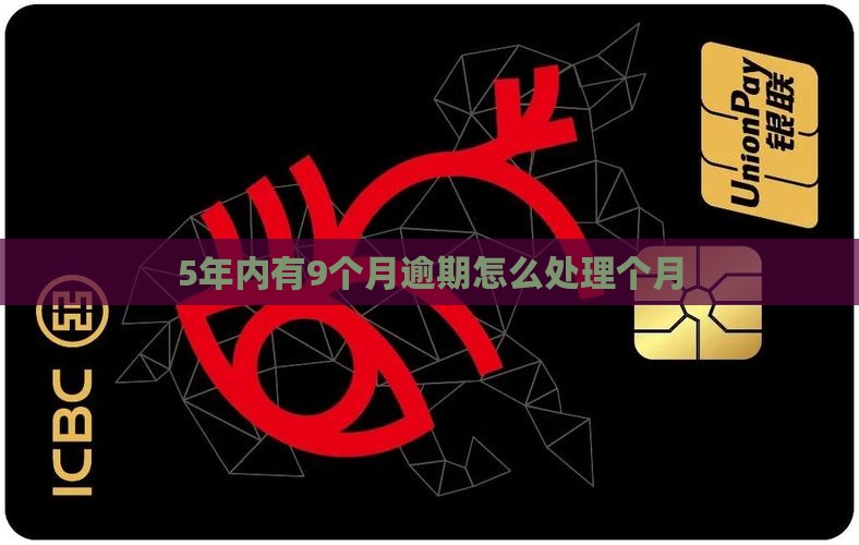 5年内有9个月逾期如何处理