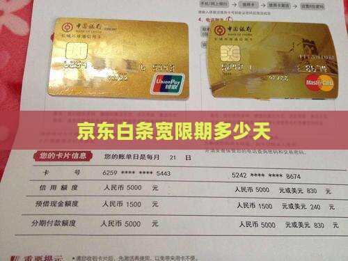 京东白条宽限期多少天一次