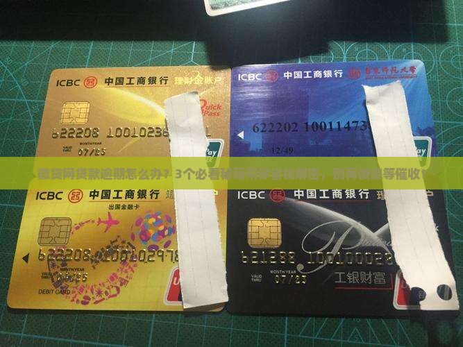 微贷网贷款逾期怎么解决