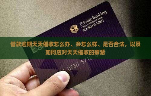 借款逾期天天催收