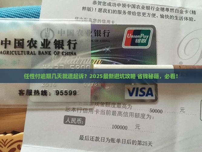 任性付逾期几天会被起诉怎么办
