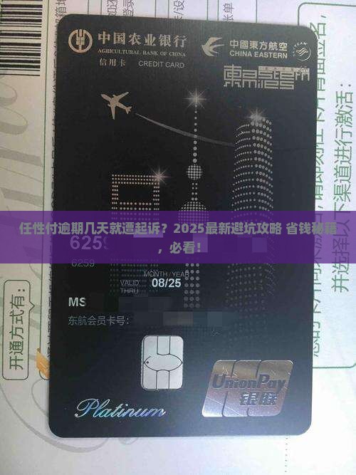 任性付逾期几天会被起诉怎么办