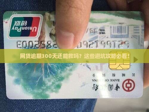 网贷逾期了300天怎么办应对措施