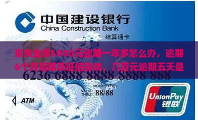京东金条5000元逾期一年多怎么办
