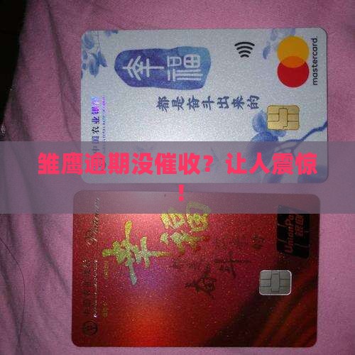 雏鹰逾期没催收
