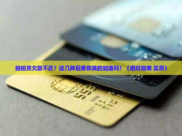 拍拍贷几个月不还怎么办