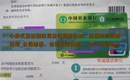 小象优品逾期收费会有哪些影响