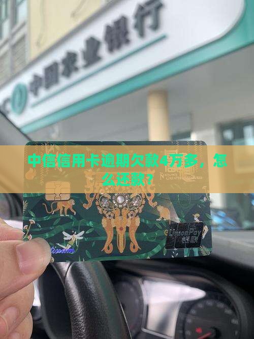 中信信用卡欠款4万多应该如何还款