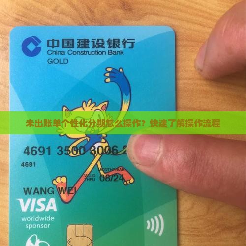 未出账单个性化分期怎么操作