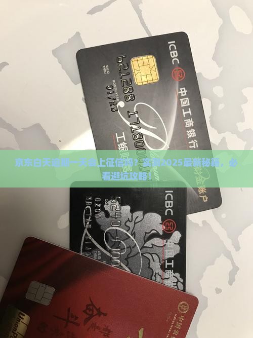 京东白天逾期一天会上征信吗