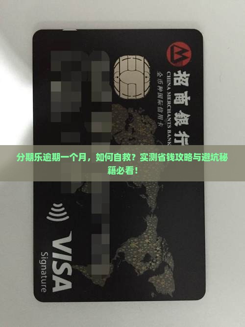 在分期乐逾期一个月