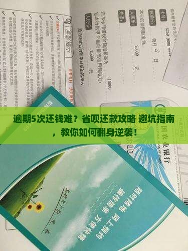 省呗逾期5次如何解决还款问题