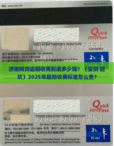 济南网贷逾期收费标准最新怎么查看