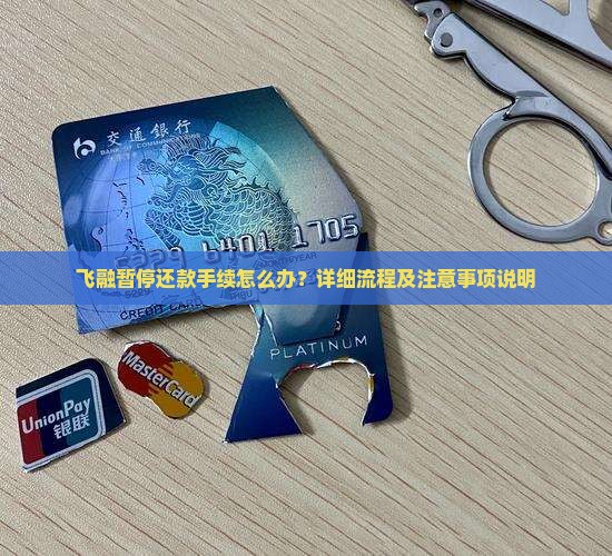飞融暂停还款手续怎么办