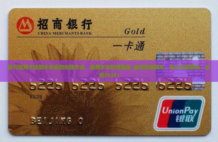建行信用卡逾期半年后的处理方式