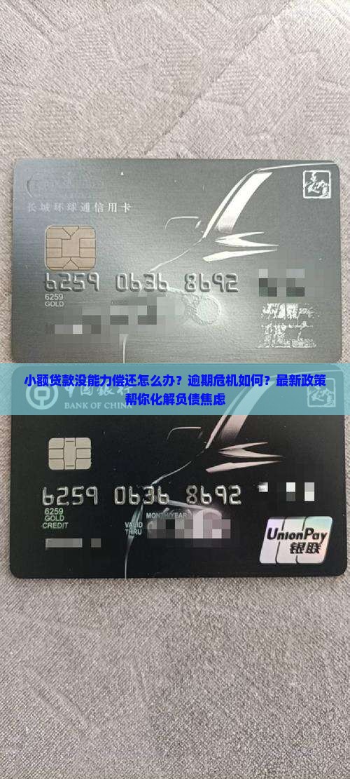 小额贷款没能力偿还应该怎么处理