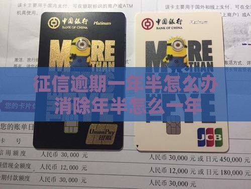 征信逾期一年半怎么办
