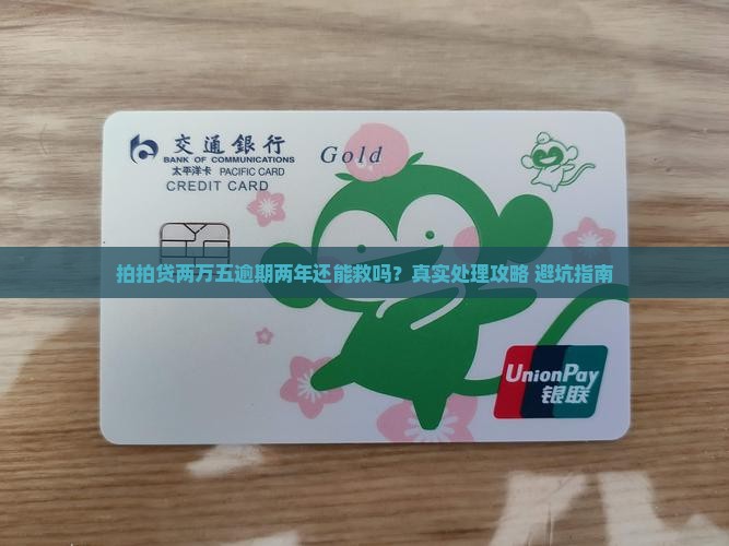 拍拍贷两万五逾期两年如何处理