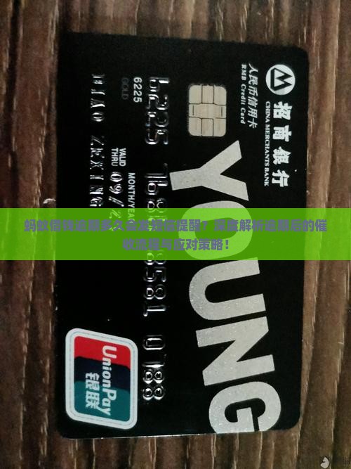 蚂蚁借钱逾期多久会发短信提醒