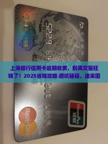 上海银行信用卡逾期收费如何计算