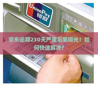 京东白条逾期230天