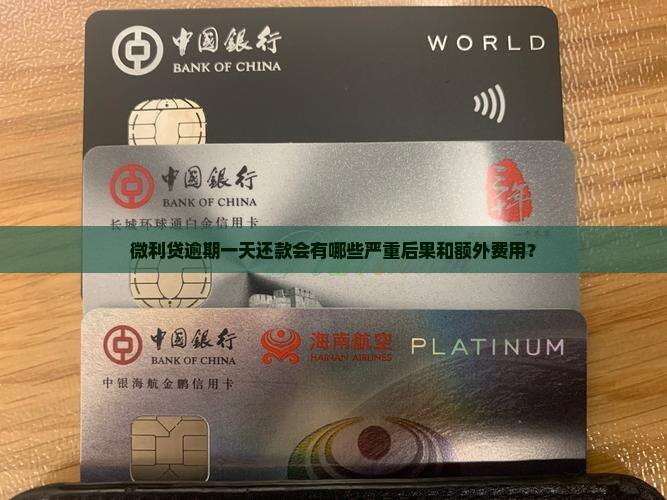 微利贷逾期一天还款会有哪些严重后果和额外费用？