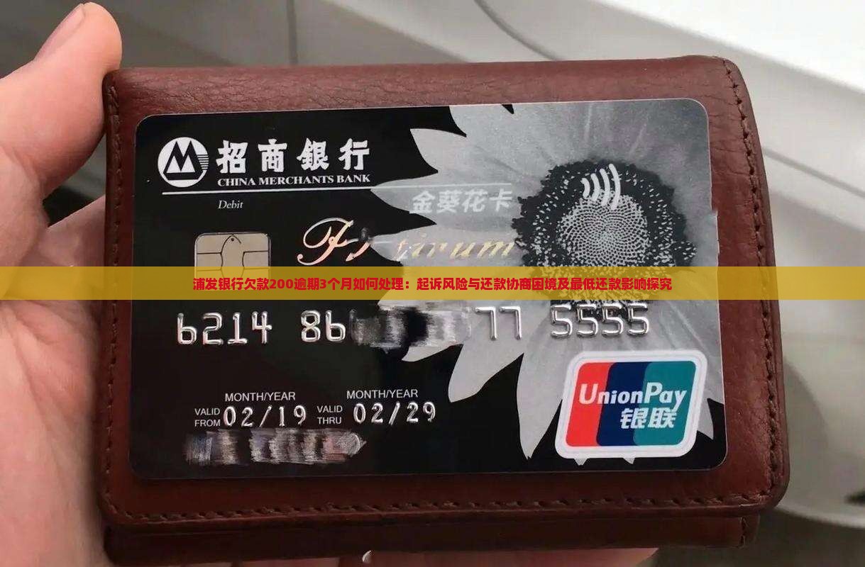 浦发银行欠款200逾期3个月如何处理：起诉风险与还款协商困境及最低还款影响探究
