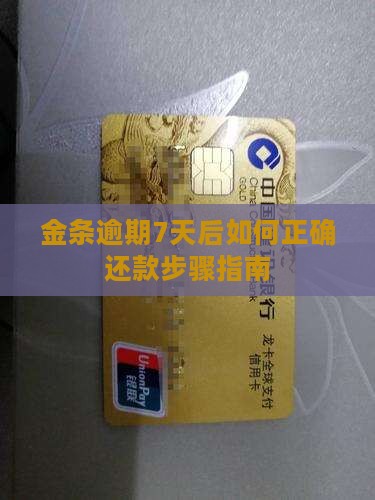 金条逾期7天后如何正确还款步骤指南