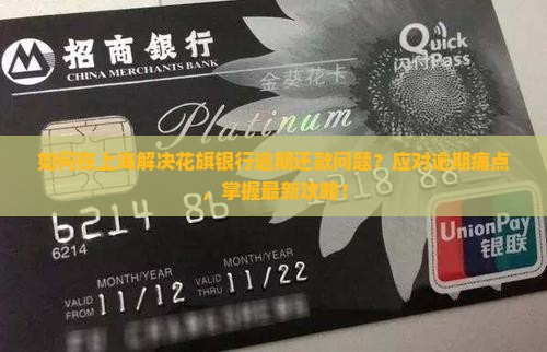 如何在上海解决花旗银行逾期还款问题？应对逾期痛点，掌握最新攻略！