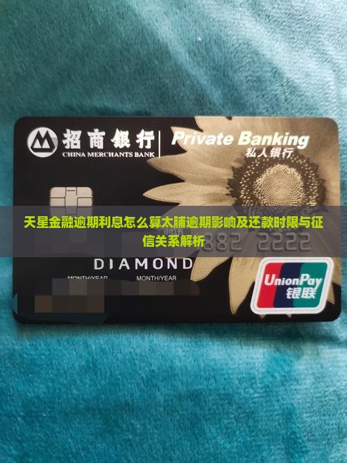 天星金融逾期利息怎么算太脯逾期影响及还款时限与征信关系解析